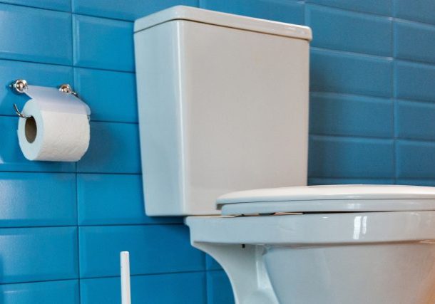 Best Toilets For Seniors - Senior Living Style